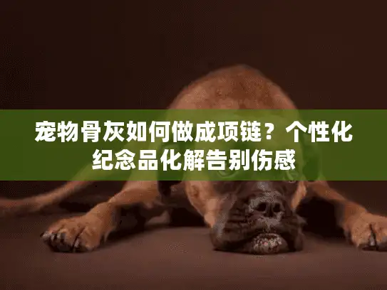 宠物骨灰如何做成项链？个性化纪念品化解告别伤感