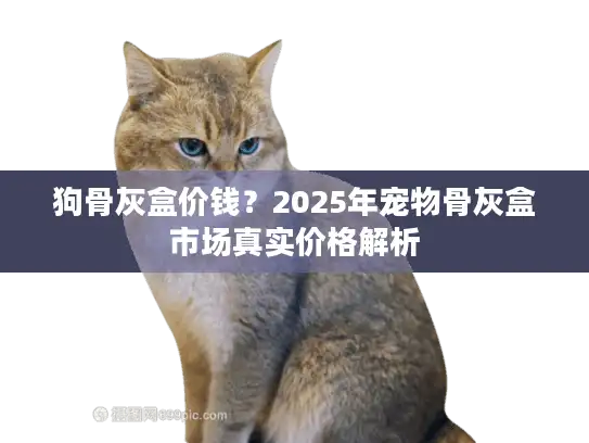 狗骨灰盒价钱？2025年宠物骨灰盒市场真实价格解析