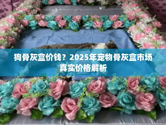 狗骨灰盒价钱？2025年宠物骨灰盒市场真实价格解析