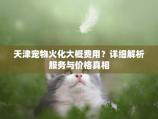 天津宠物火化大概费用？详细解析服务与价格真相