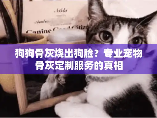狗狗骨灰烧出狗脸？专业宠物骨灰定制服务的真相