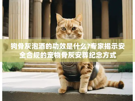 狗骨灰泡酒的功效是什么?专家揭示安全合规的宠物骨灰安葬纪念方式