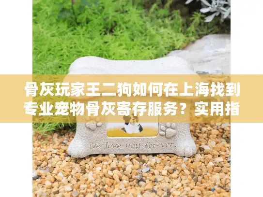 骨灰玩家王二狗如何在上海找到专业宠物骨灰寄存服务？实用指南全解析