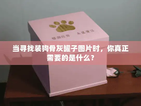 当寻找装狗骨灰罐子图片时，你真正需要的是什么？
