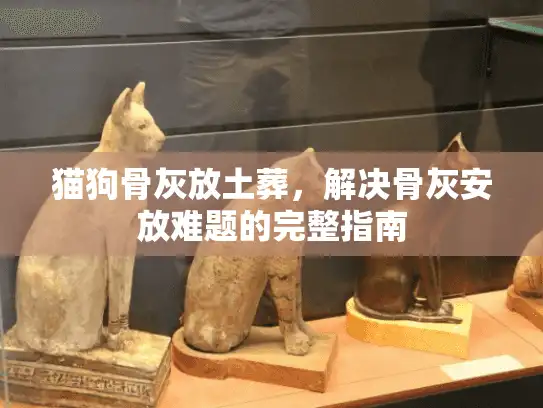 猫狗骨灰放土葬，解决骨灰安放难题的完整指南