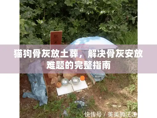 猫狗骨灰放土葬，解决骨灰安放难题的完整指南