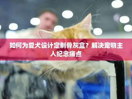如何为爱犬设计定制骨灰盒？解决宠物主人纪念痛点