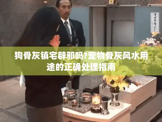 狗骨灰镇宅辟邪吗?宠物骨灰风水用途的正确处理指南