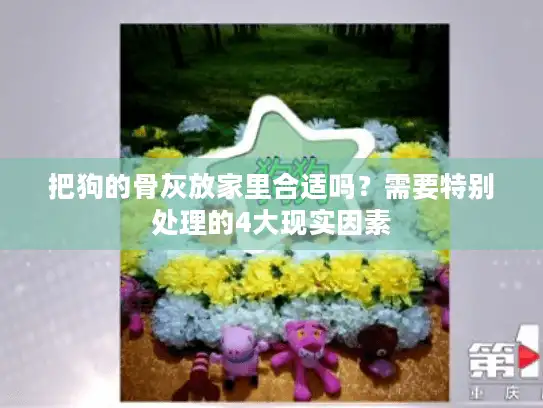 把狗的骨灰放家里合适吗？需要特别处理的4大现实因素