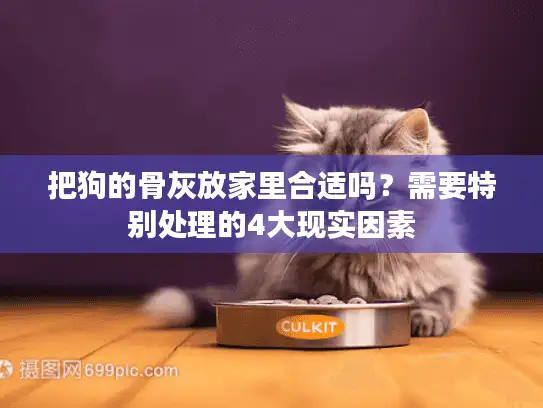 把狗的骨灰放家里合适吗？需要特别处理的4大现实因素