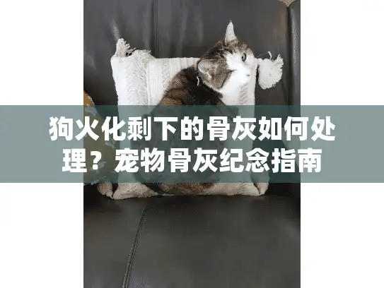 狗火化剩下的骨灰如何处理？宠物骨灰纪念指南