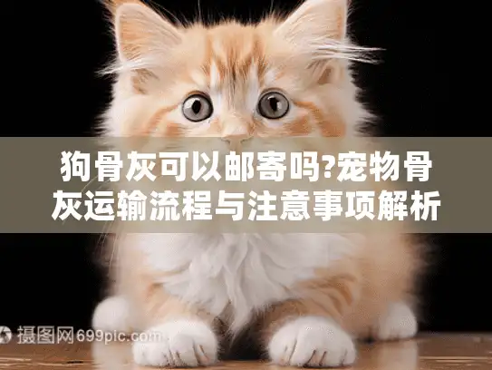 狗骨灰可以邮寄吗?宠物骨灰运输流程与注意事项解析