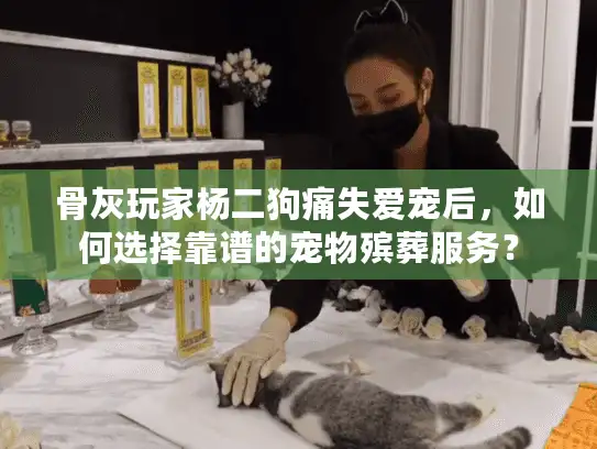 骨灰玩家杨二狗痛失爱宠后，如何选择靠谱的宠物殡葬服务？