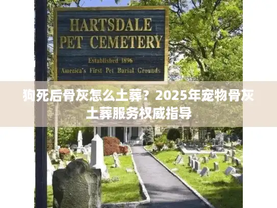 狗死后骨灰怎么土葬？2025年宠物骨灰土葬服务权威指导