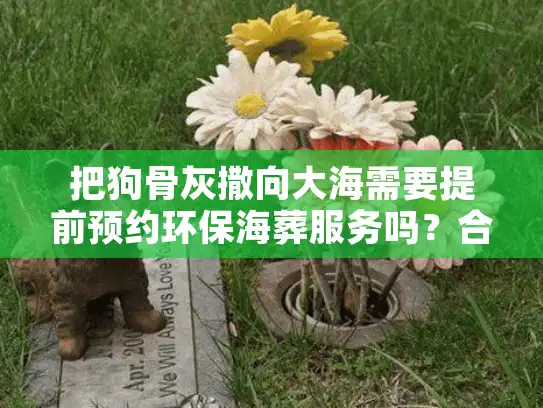 把狗骨灰撒向大海需要提前预约环保海葬服务吗？合法流程全解析