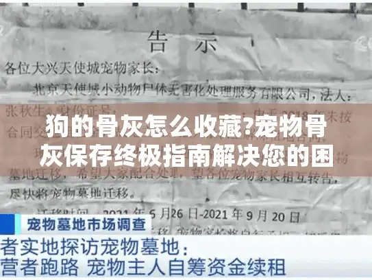 狗的骨灰怎么收藏?宠物骨灰保存终极指南解决您的困惑