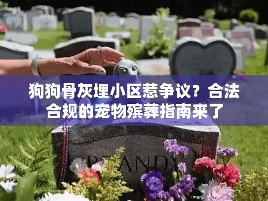 狗狗骨灰埋小区惹争议？合法合规的宠物殡葬指南来了