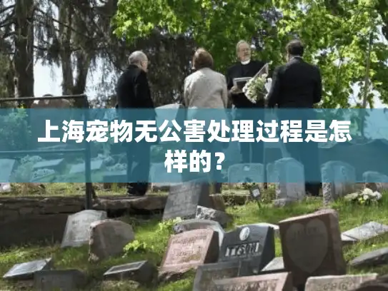 上海宠物无公害处理过程是怎样的？