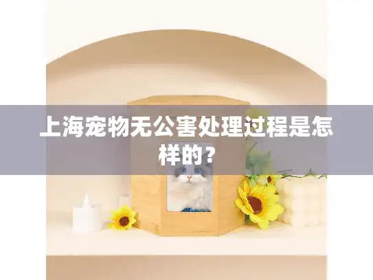 上海宠物无公害处理过程是怎样的？