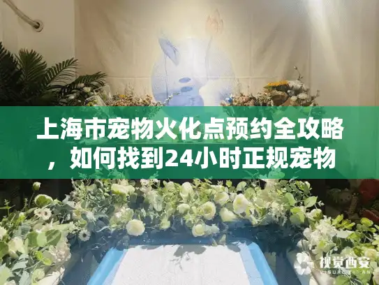 上海市宠物火化点预约全攻略，如何找到24小时正规宠物殡葬机构