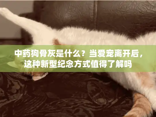 中药狗骨灰是什么？当爱宠离开后，这种新型纪念方式值得了解吗
