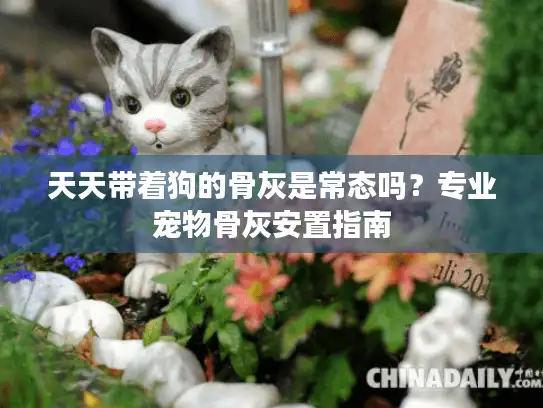 天天带着狗的骨灰是常态吗？专业宠物骨灰安置指南