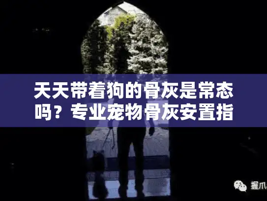 天天带着狗的骨灰是常态吗？专业宠物骨灰安置指南