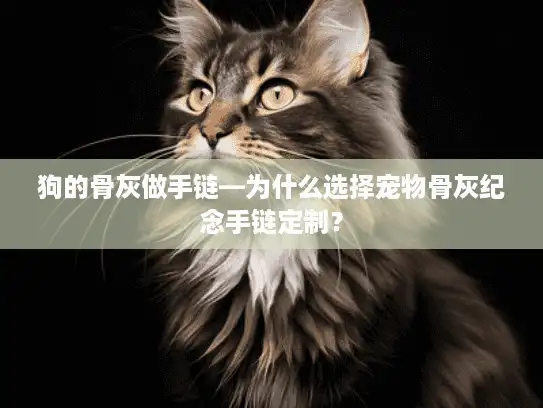 狗的骨灰做手链—为什么选择宠物骨灰纪念手链定制？