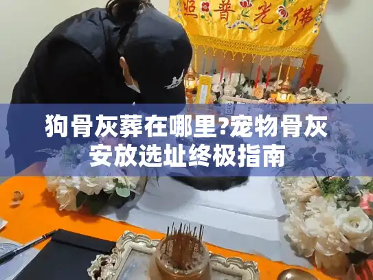 狗骨灰葬在哪里?宠物骨灰安放选址终极指南