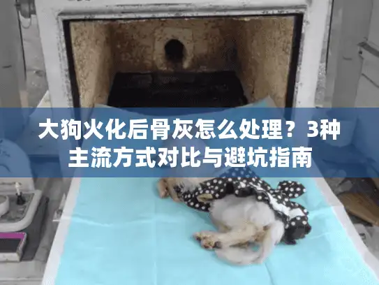 大狗火化后骨灰怎么处理？3种主流方式对比与避坑指南