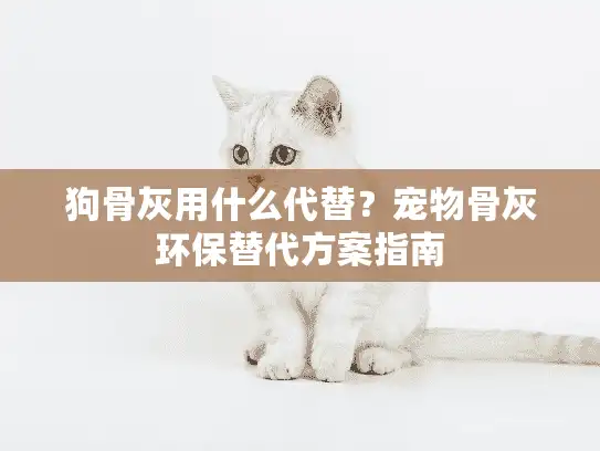 狗骨灰用什么代替？宠物骨灰环保替代方案指南
