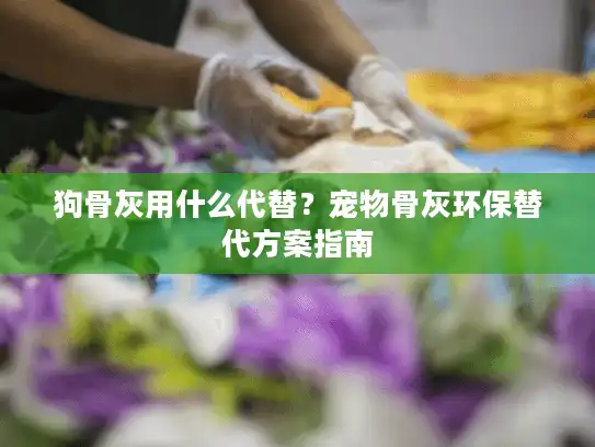 狗骨灰用什么代替？宠物骨灰环保替代方案指南