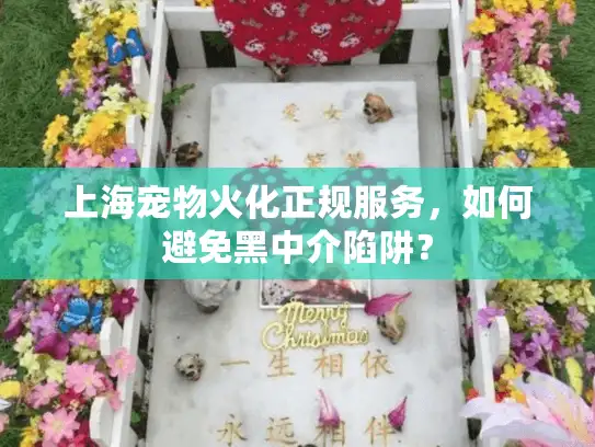 上海宠物火化正规服务，如何避免黑中介陷阱？