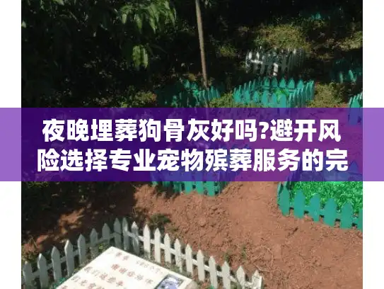 夜晚埋葬狗骨灰好吗?避开风险选择专业宠物殡葬服务的完整指南