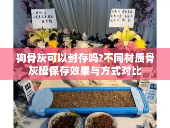 狗骨灰可以封存吗?不同材质骨灰罐保存效果与方式对比