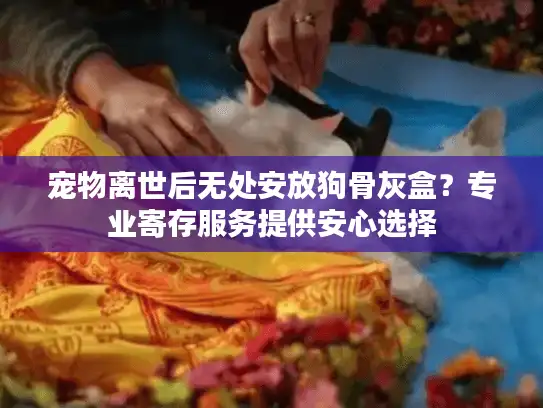 宠物离世后无处安放狗骨灰盒？专业寄存服务提供安心选择
