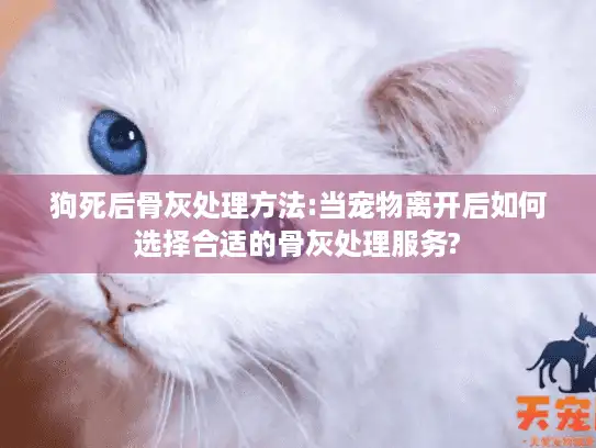 狗死后骨灰处理方法:当宠物离开后如何选择合适的骨灰处理服务?