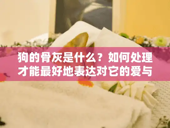 狗的骨灰是什么？如何处理才能最好地表达对它的爱与尊重？