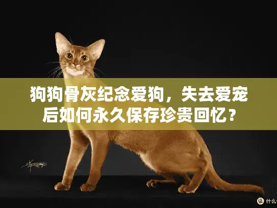 狗狗骨灰纪念爱狗，失去爱宠后如何永久保存珍贵回忆？