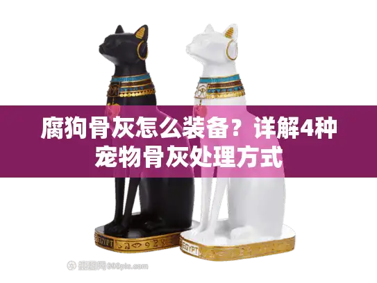 腐狗骨灰怎么装备？详解4种宠物骨灰处理方式