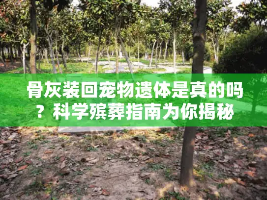 骨灰装回宠物遗体是真的吗？科学殡葬指南为你揭秘真相