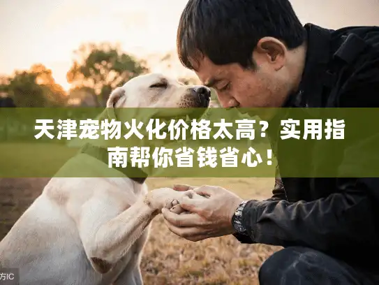 天津宠物火化价格太高？实用指南帮你省钱省心！