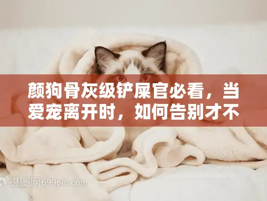 颜狗骨灰级铲屎官必看，当爱宠离开时，如何告别才不留遗憾？