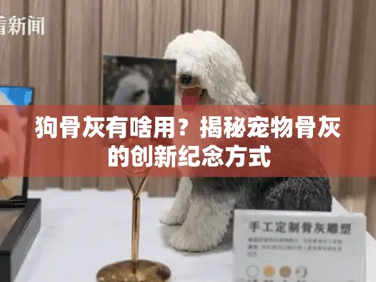 狗骨灰有啥用？揭秘宠物骨灰的创新纪念方式