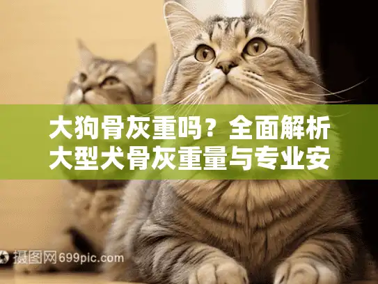 大狗骨灰重吗？全面解析大型犬骨灰重量与专业安葬服务指南
