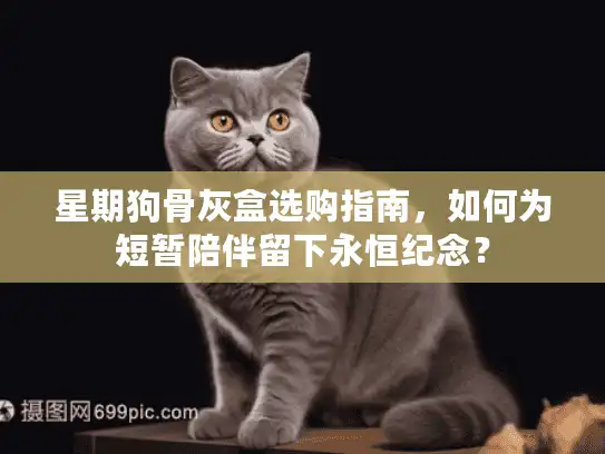 星期狗骨灰盒选购指南，如何为短暂陪伴留下永恒纪念？