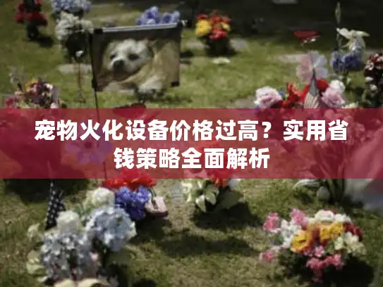 宠物火化设备价格过高？实用省钱策略全面解析