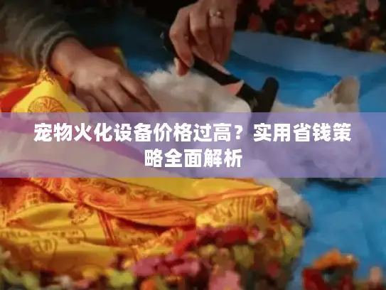 宠物火化设备价格过高？实用省钱策略全面解析