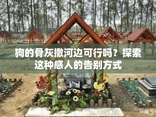 狗的骨灰撒河边可行吗？探索这种感人的告别方式