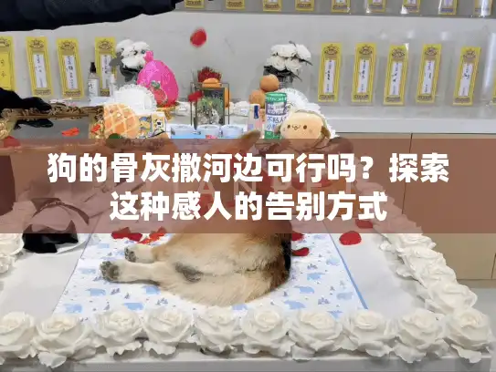 狗的骨灰撒河边可行吗？探索这种感人的告别方式